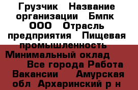 Грузчик › Название организации ­ Бмпк, ООО › Отрасль предприятия ­ Пищевая промышленность › Минимальный оклад ­ 20 000 - Все города Работа » Вакансии   . Амурская обл.,Архаринский р-н